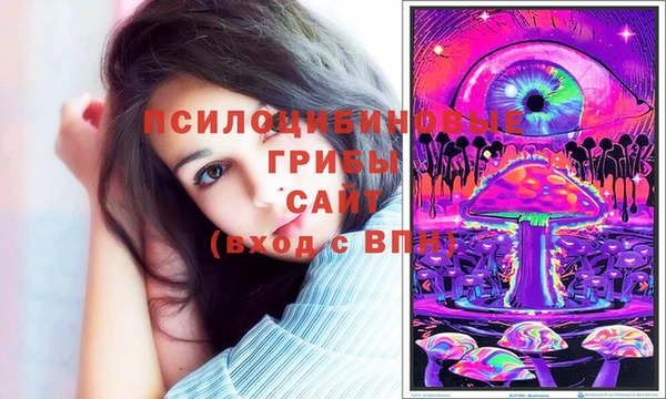 тгк Волоколамск