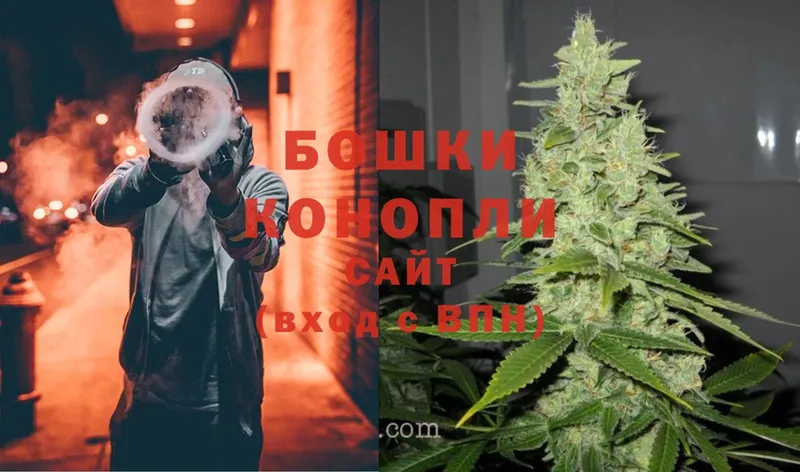 Бошки Шишки THC 21%  Бабушкин 